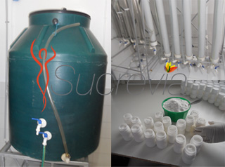 Maceration and filtration stevia process